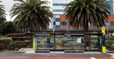 Plataformas de bus del sistema Vectorial® en Nueva Zelanda por primera vez.
